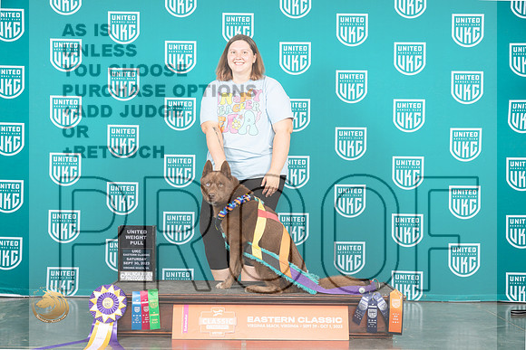 Siberian Husky #168 Sun UWP Judge Tony Flynn_JP_5825_UKCVA2023_HR3