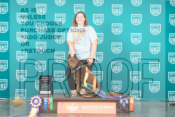Siberian Husky #168 Sun UWP Judge Tony Flynn_JP_5824_UKCVA2023_HR3