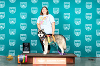 Siberian Husky #169 Sun UWP