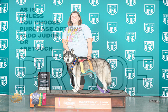 Siberian Husky #169 Sun UWP _JP_5796_UKCVA2023_HR3
