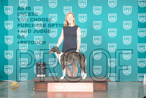 Silken Windhound #110 Sat BOB Judge ?_JP_5400_UKCVA2023_HR3