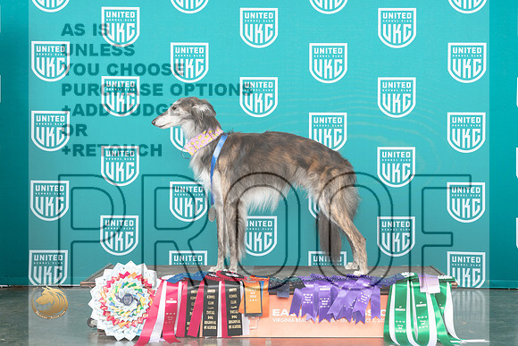 Silken Windhound #233 Fri Sat Sun G3 TD ROM_JP_5677_UKCVA2023_HR3