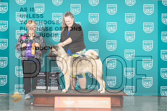 Akita #247 Fri BOBCH Judge Mary Ellen Meyer_JP_5769_UKCVA2023_HR3