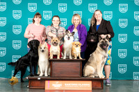 Akita Group