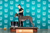 Greyhound #129 Fri Sat Sun ARBIS Judge Malinda Julien