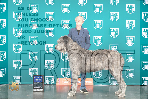 Irish Wolfound #256 Sun G1 Judge Mary Ellen Meyer_JP_5615_UKCVA2023_HR3