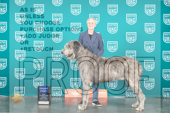 Irish Wolfound #256 Sun G1 Judge Mary Ellen Meyer_JP_5617_UKCVA2023_HR3