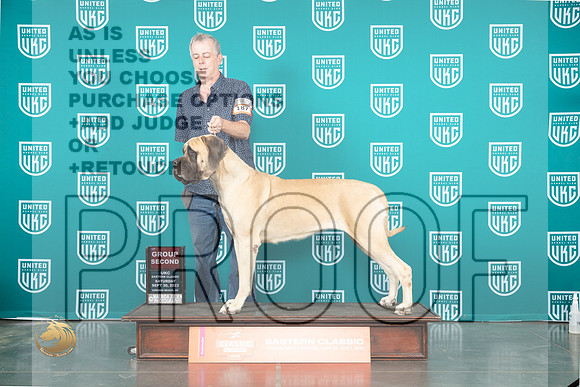 Mastiff #189 Sat G2 Judge Sheree Sanchez_JP_5378_UKCVA2023_HR3
