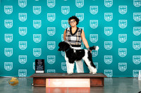 Poodle Std #215 NOVP2 Sat Judge?