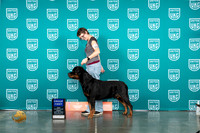 Rottweiler #235 Sat G1 Judge Sheree Sanchez