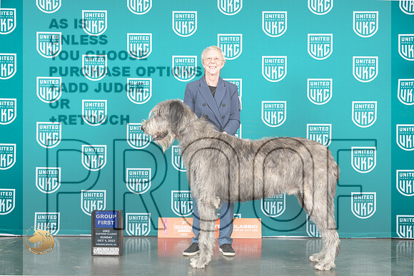 Irish Wolfound #256 Sun G1 Judge Mary Ellen Meyer_JP_5613_UKCVA2023_HR3