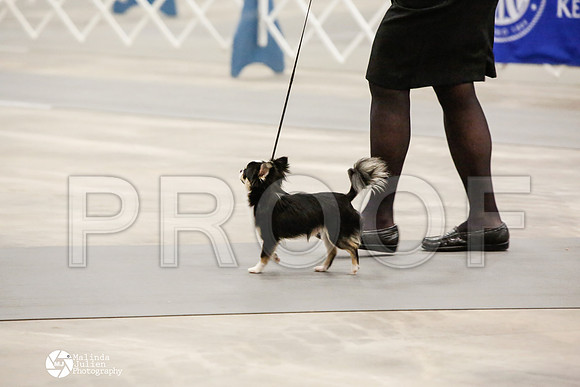 _CK_6739-AblnMay2014-web