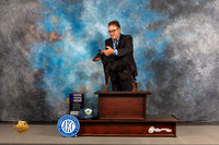 Manchester Terrier #22 Wed WB Judge Edd Biven