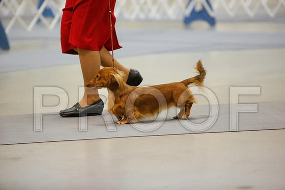 _JN_4174-AmarilloSept2014-HR3