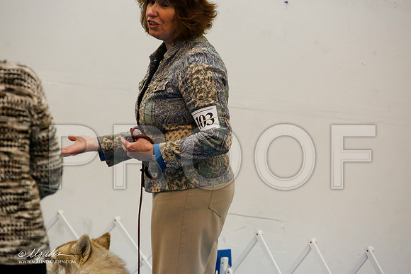 _M3_7947-AddisonHuskyMar2015-HR3
