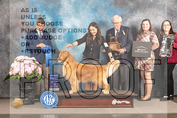 Golden Retriever #18 FRI G1 Judge Richard Powell_MJ_6008_Houston_2022_HR3