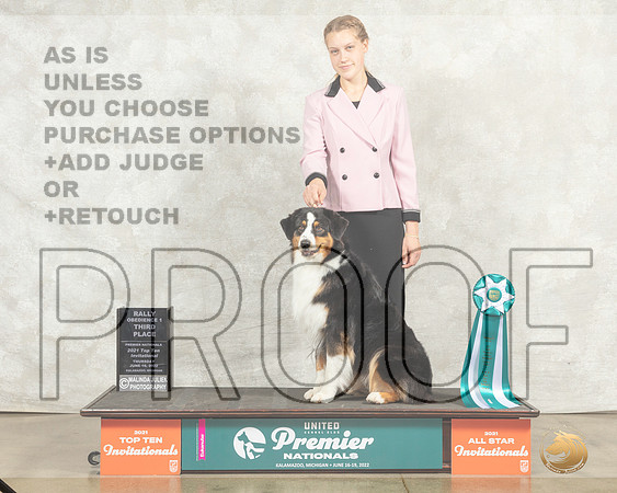 Australian Shepherd #970 Thur Rally1 Judge Kim Thomson__MJ_7815_Premier_2022_HR3
