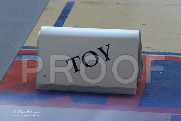 ToyGrp-8076LR
