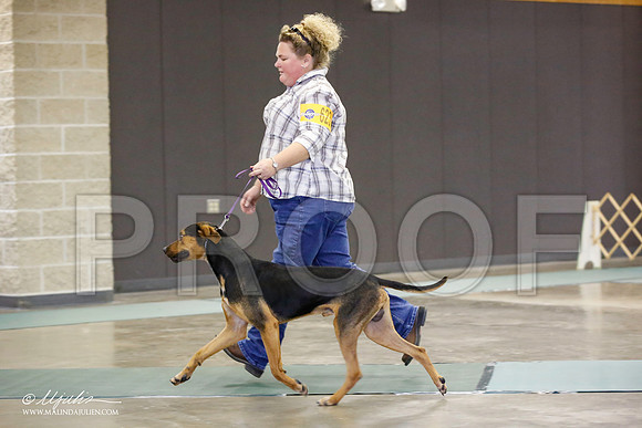 _JN_2636-BeltonJan2015-HR3