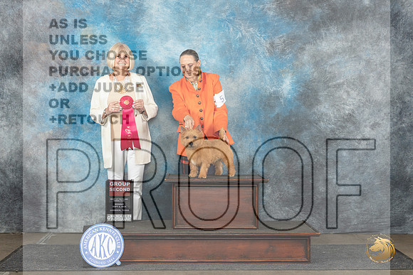Norwich Terrier #5 Mon G2 Judge Debra Thornton__JP_4532_Lubbock_2024_HR3