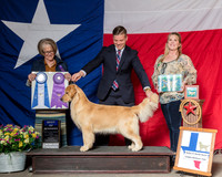 #112 Thurs BOW Keen Debra Judge Jane P Jensen