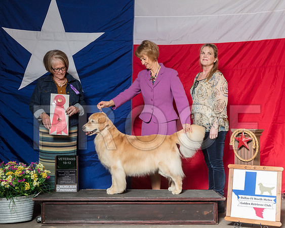 #138 Thurs 10-12 Vet 1st Debra Keen Agent Diane Mueller Judge Jane P Jensen_SR_8407-HR3
