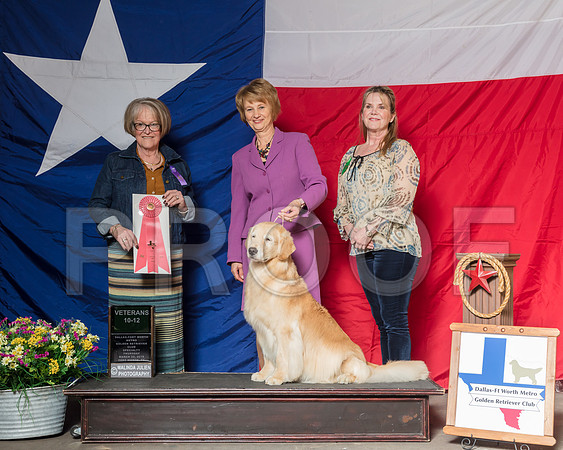 #138 Thurs 10-12 Vet 1st Debra Keen Agent Diane Mueller Judge Jane P Jensen_SR_8404-HR3