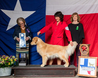 #19 Thurs 12-18 1st Woods Steve Sandie Woods Judge Jane P Jensen