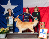 #51 Thurs SD Pettingill Lesley Judge Jane P Jensen