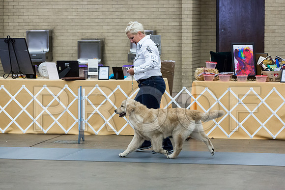 6-9 Dog Thurs Rings_ST_9546-HR3
