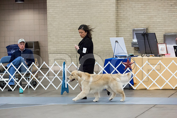 9-12 Dog Thurs Rings_ST_9609-HR3