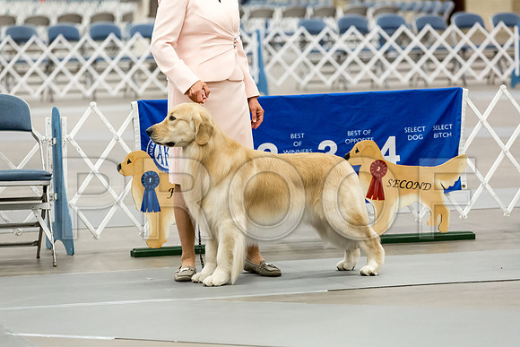 BBX Dog Thur RingMJJL2412-HR3