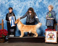 #18 Fri BOW Maj Nieman Mia Lindsay Nieman Agent Collette Livingston Judge Debbie Claussen