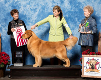 #23 Fri BOS Meddaugh Catherine Michael Aldeguer Tonya Struble Judge Debbie Claussen