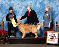 #47 Fri BBX 3rd Felix Kathy George Catherine Meddaugh #91 Fri Best Vet Kinghorn David Joyce Judge Debbie Claussen