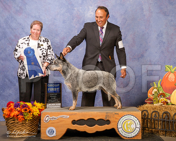 _CL_4668-SanAngelo2014-HR3