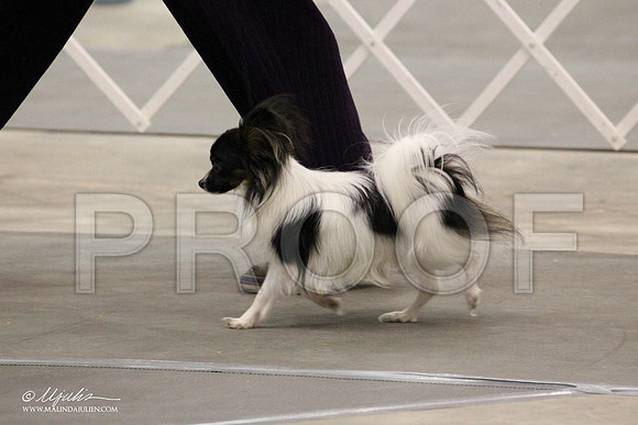 IMG_7476-Abilene2011-HR3