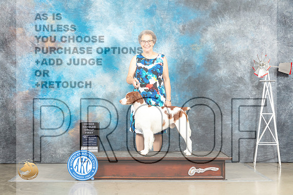 Brittany #5 Thur OHG1 Judge Alfred Ferruggiaro rr_MJ_4622_Amarillo_2022_HR3