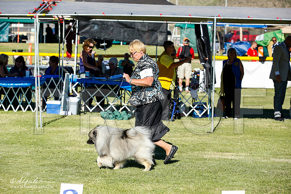 _JN_9666-AlamogordoOct2014-HR3