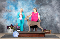 Cindy Moore Belton 2024