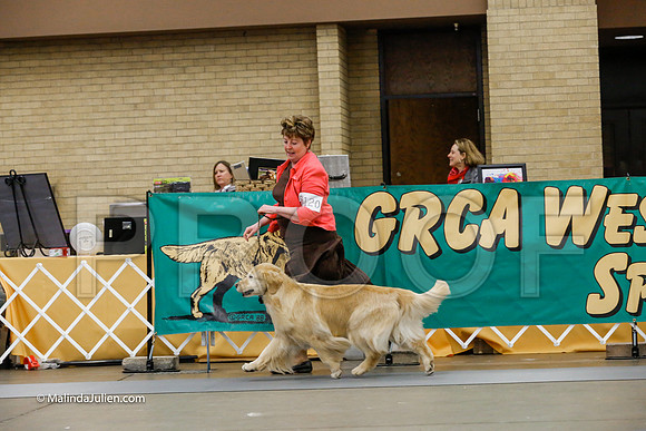 10-12 Vet Bitch Friday Ring_CL_4447-HR3