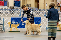12+ Vet Bitch Thurs Rings