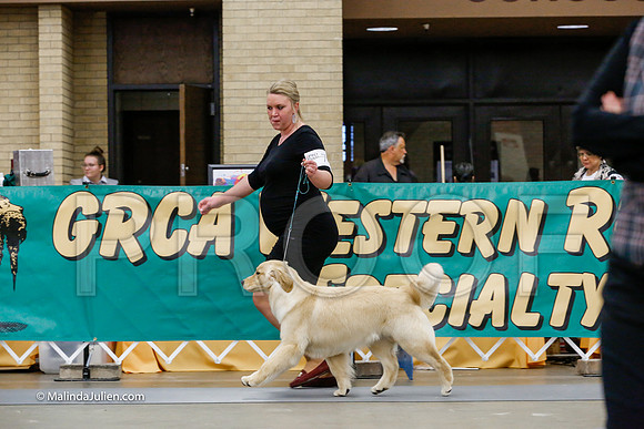 6-9 Dogs Friday Rings_CL_1783-HR3