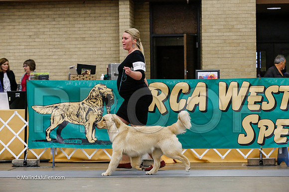 6-9 Dogs Friday Rings_CL_1786-HR3