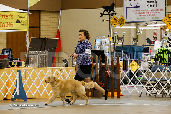 6-9 Dogs Sweeps Friday Rings_CL_0081-HR3