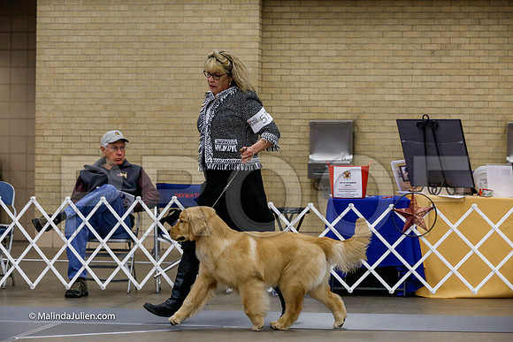 6-9 Dogs Sweeps Friday Rings_CL_0103-HR3