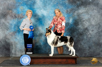 Collie Smooth #7 Mon G1 Judge June Penta