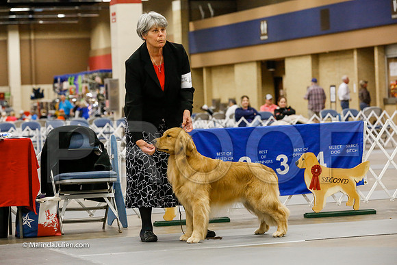 BBX Dog Friday Ring_CL_2165-HR3