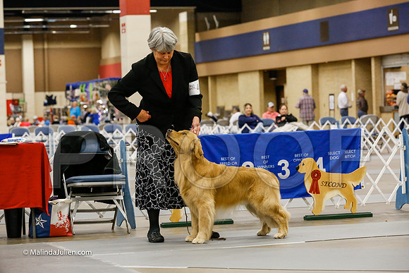 BBX Dog Friday Ring_CL_2167-HR3