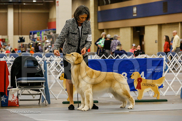 BBX Dog Friday Ring_CL_2190-HR3